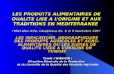 Présentation de la situation institutionnelle en Tunisie (french)