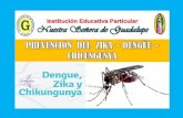 Prevención del zika dengüe y chikungunya