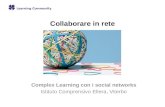Collaborare in rete