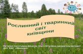 Рослинний і тваринний світ Київщини