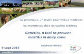 Genetics, a tool to prevent mastitis in dairy cows