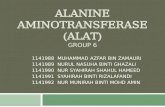 ALANINE TRANSAMINASE (ALT)