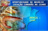 Oportunidade de Negócio no Ceará -1