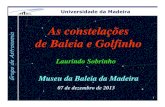 As constelações de Baleia e Golfinho