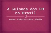 A guinada dos Direitos Himanos no brasil1