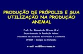 Produção de Própolis e sua utilização na produção animal
