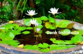 Bank Sentral (Bank Indonesia)