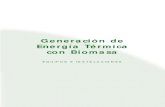 Generación de Energía Térmica con Biomasa