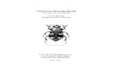 Page 1 American Burying Beetle (Nicrophorus americanus) 5–Year ...
