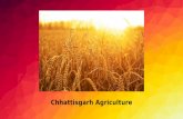Chhattisgarh agriculture
