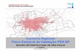 Plano estadual de habitação PEH-SP região metropolitana de São ...