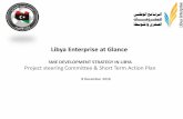 Libya Enterprise at Glance