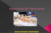 Renanimacion neonatal final