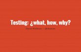 Testing: ¿what, how, why?