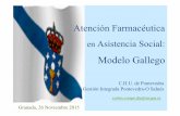 Modelos de asistencia a centros socio sanitarios en España. Modelo gallego