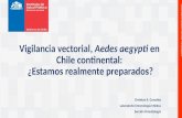 Vigilancia sanitaria Aedes aegypti en Chile Continental