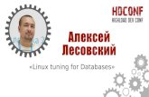 Алексей Лесовский "Тюнинг Linux для баз данных. "
