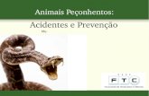 Animais peçonhentos acidentes e prevenção