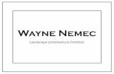Wayne Nemec's Portfolio