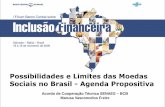Limites e Possibilidades das Moedas Sociais no Brasil