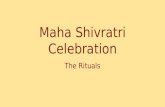 Maha shivratri Rituals