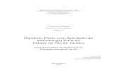 Relatório Piloto com Aplicação da Metodologia IPPS ao Estado do ...