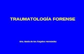 Traumatología medicolegal