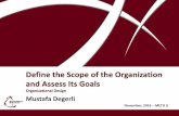 Mustafa Degerli - 2016 - Define the Scope of the Organization and Assess Its Goals - Organizational Design