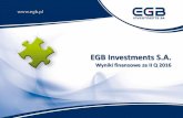 Wyniki finansowe EGB Investments S.A.