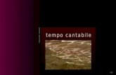 Tempo Cantabile (por: carlitosrangel)