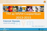 Mvm csoport tm 2013-2015 gázmár domán