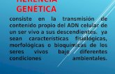ADN ÁCIDO DESOXIRRIBONUCLEICO. Lic Javier Cucaita