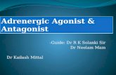 Adrenergic agonist antagonist