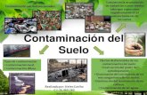 Contaminación del suelo y contaminación acustica