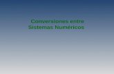 Conversión sistemas numericos