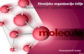 Hemijska organizacija ćelije-ugljeni hidrati i lipidi