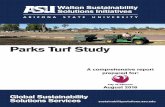 Executive Summary - Turf Study