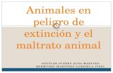 Animales en-peligro-de-extincin-y-el-maltrato-160501220721