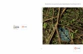 Relatório Anual de Sustentabilidade Enel Brasil 2014