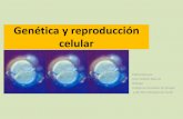 4. La reproducción celular