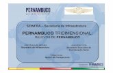 PERNAMBUCO TRIDIMENSIONAL: PERNAMBUCO ...