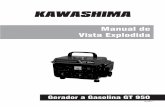 KAWASHIMA ( Gerador GT 950 )