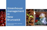 Se3 greenhouse management in nb