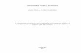 maria cecilia Flores Cordeiro 1- Dissertacao de Mestrado.pdf