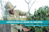 AgroecologiA no sínodo dA AmAzôniA