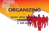 Organisasi dalam Manajemen (Organizing)