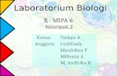 LABORATORIUM BIOLOGI SMA kelas X