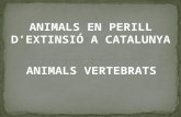 Animals en perill d’extinció a Catalunya 5èB