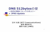 JANOG 15 - DNS 512bytesの壁 OCN DNSトラヒック分析より