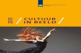 'Cultuur in Beeld 2013' PDF document | 153 pagina's